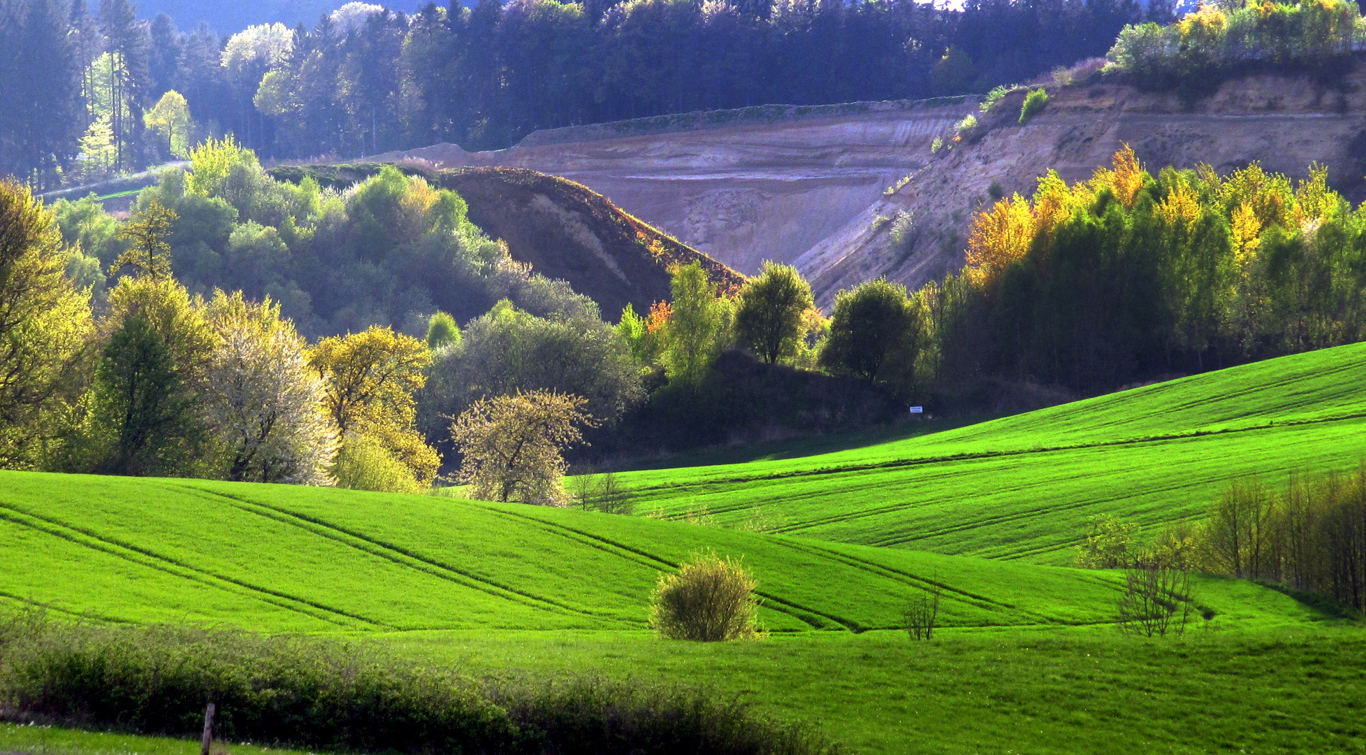 Wiesen, Wälder, Felder Foto &amp; Bild landschaft, Äcker, felder &amp; wiesen