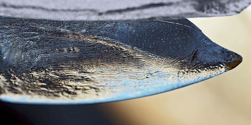 Wildlife: Ein seltener Fund bei eisiger Kälte ... - Un poisson rare que l'on trouve qu'en hiver...