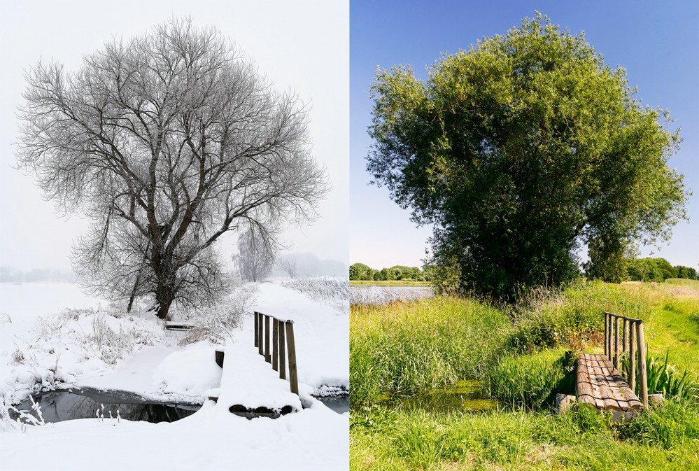 Winter vs. Sommer Foto & Bild jahreszeiten, natur Bilder auf