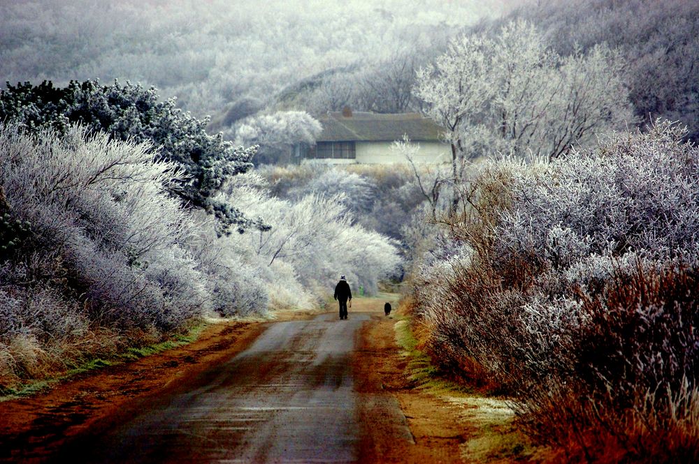 Wintermärchen Hiddensee-Muthesius Haus ( Eckart Muthesius: ) Foto & Bild  deutschland, europe 