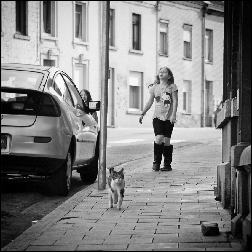 wo Kinder mit Katzen spazieren gehen... Foto & Bild streetfotografie, momente, menschen Bilder