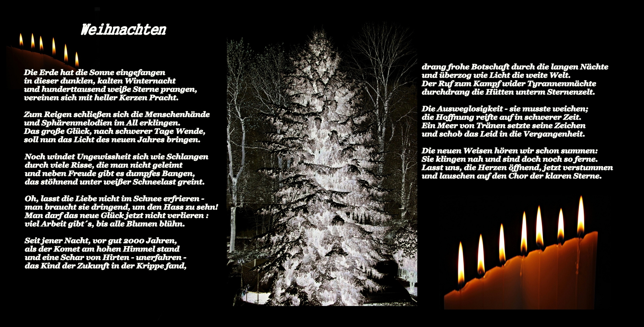 Worte der Besinnung Foto & Bild  gratulation und feiertage, weihnachten christmas, spezial 
