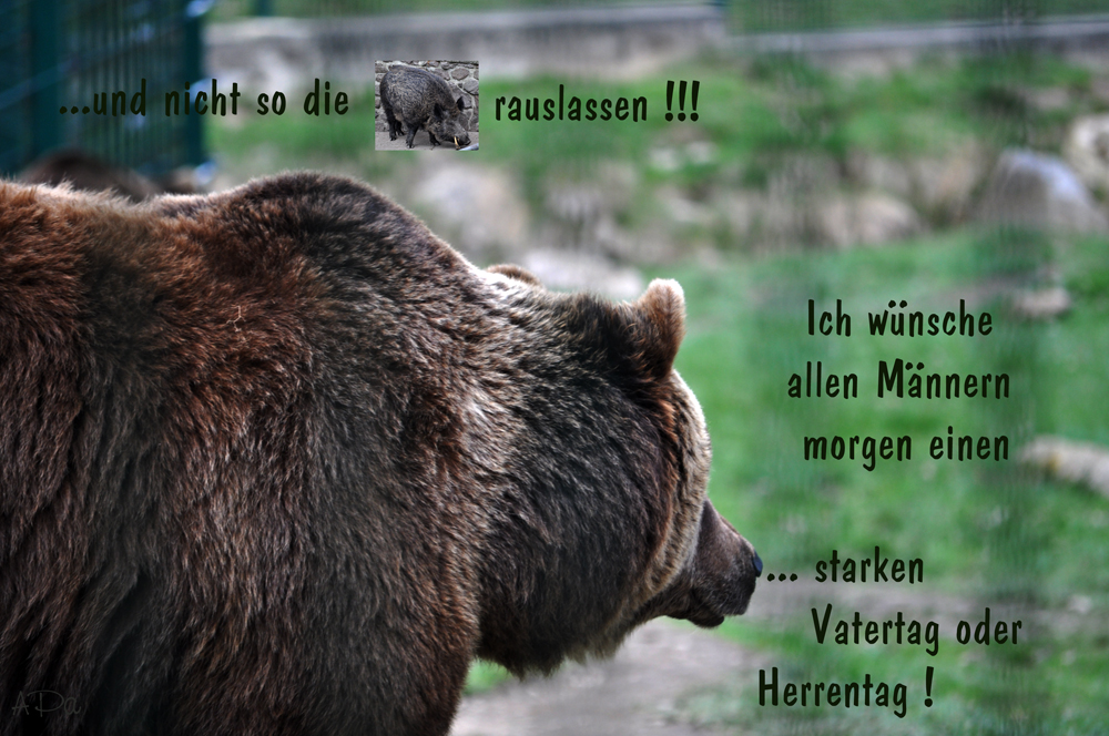 Wünsche zum Männertag Foto & Bild quatsch, fun und rätselecke