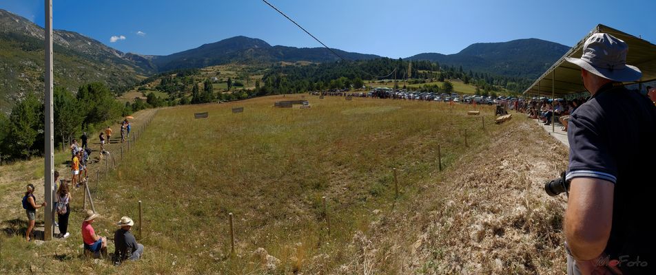 XI Concurs gossos d’atura 2016.08.14 (Odén Montnou - Solsones - Lleida - Catalunya)