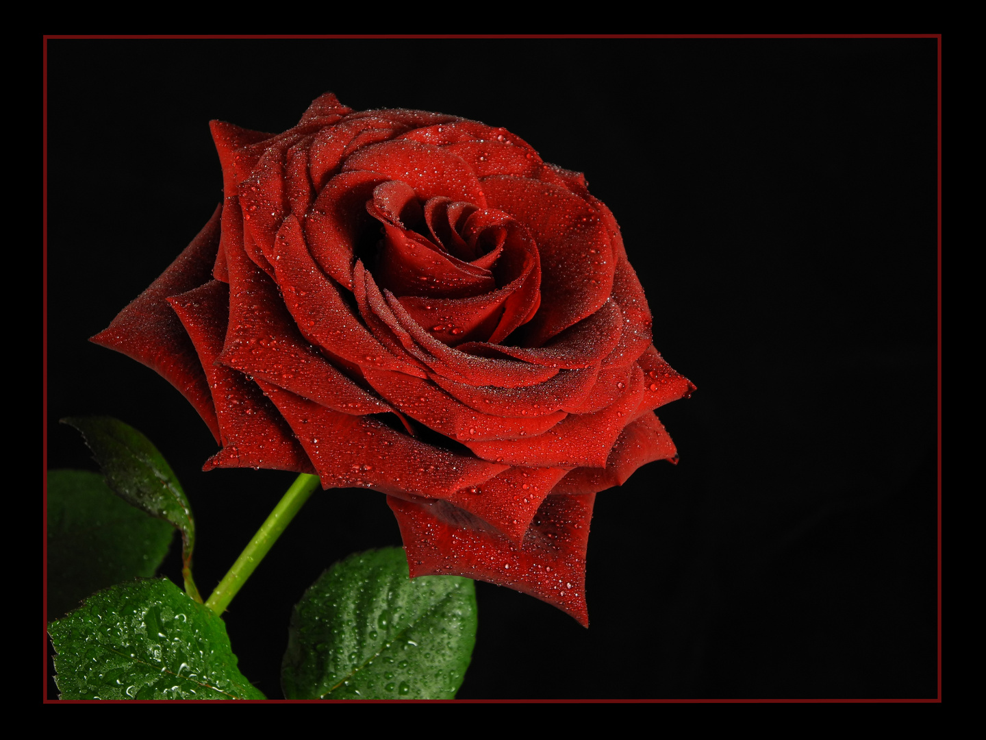 Bilder Hochzeitstag Bilder Hochzeitstag