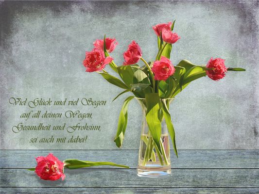 Gluckwunsch Geburtstag Fotos