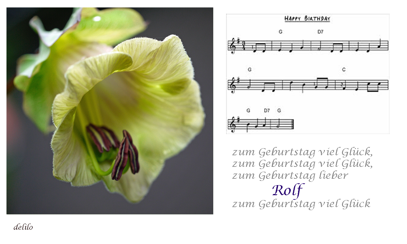 alles gute zum geburtstag und viel glück zum geburtstag viel gl 252 ck foto bild alles gute zum geburtstag und viel glück zum geburtstag viel gl 252 ck foto bild