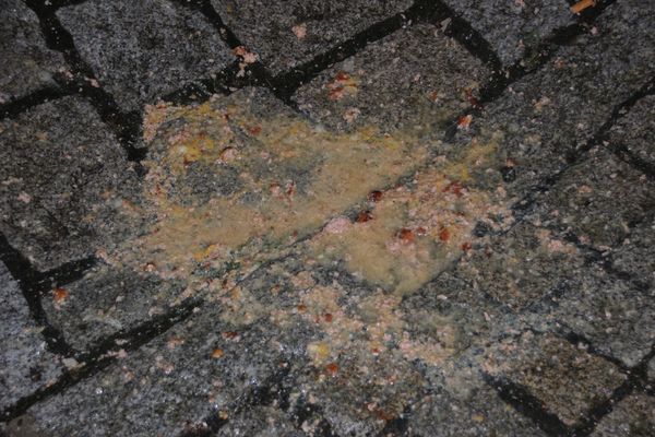 Kotze Fotos & Bilder auf