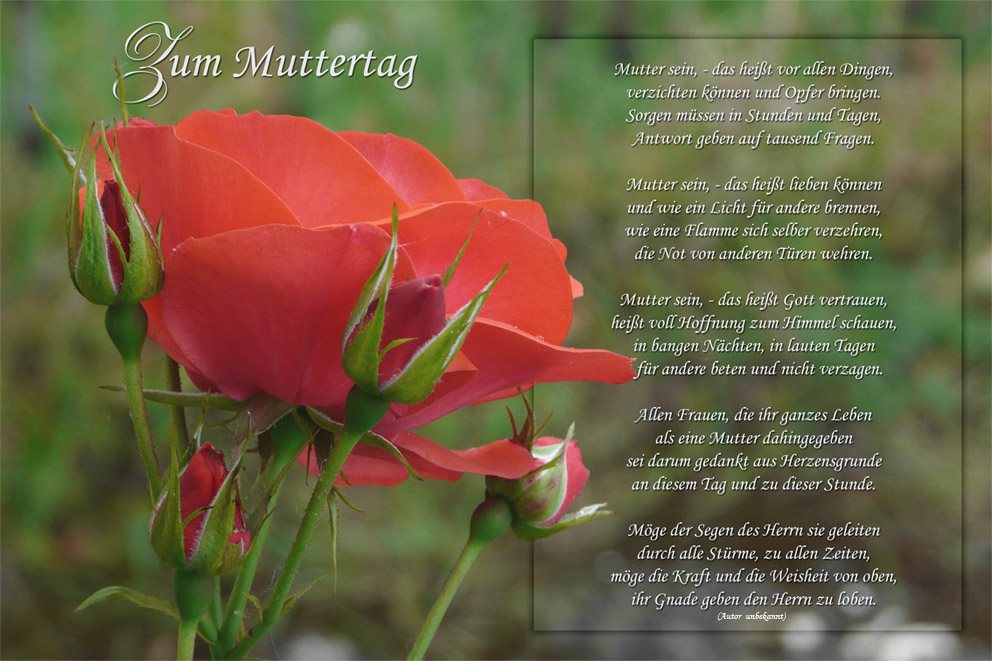 Zum Muttertag Foto & Bild gratulation und feiertage, muttertag