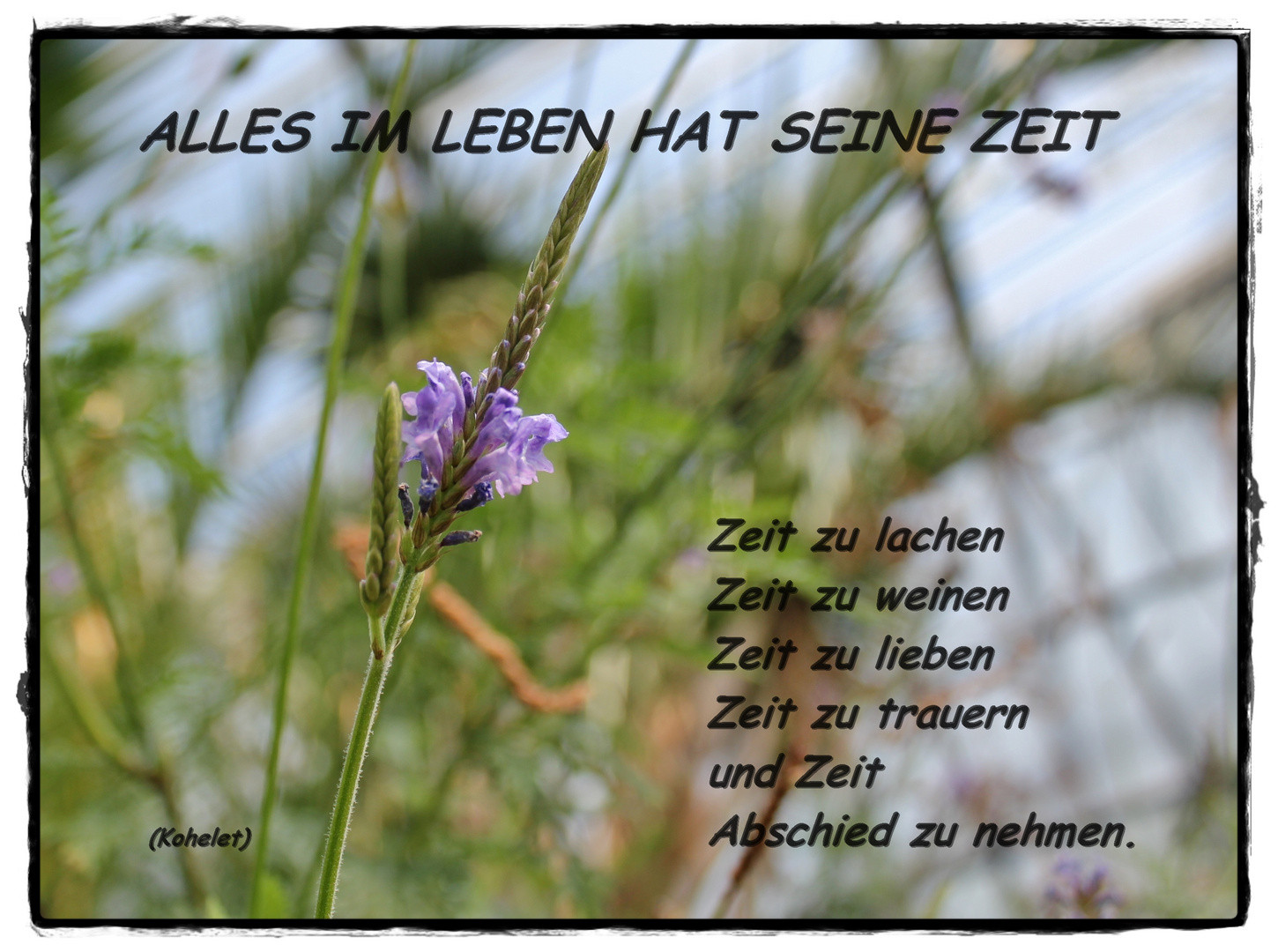 zum Thema"ALLES HAT SEINE ZEIT" Foto & Bild team artinger, archiv