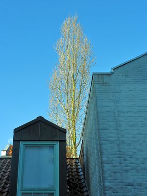 Zwei Wintermonate in Bremen – Impressionen / Due mesi invernali a Brema - impressioni (3)