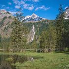 00099-2: Frühling am Lauenensee, Tungelschuss (Dia 4x5 inch)