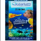 000CROISIC OCEARIUM PAGE DE GARFE