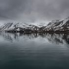 001-20230623 - Spitzberge-St. Jonsfjorden+Gjersenodden - _U8A4363-Bearbeitet