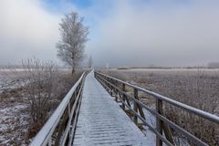 001-20240120 - Bad Buchau-Federsee - IMG_4366-Bearbeitet