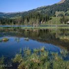 00100-2: am Lauenensee (Dia 4x5 inch)