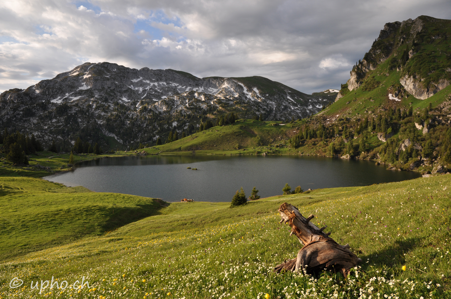 00157-2: Seebergsee, Seehore