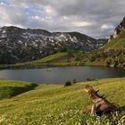 00157-2: Seebergsee, Seehore