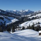 00191-2: Blick ins Saanenland