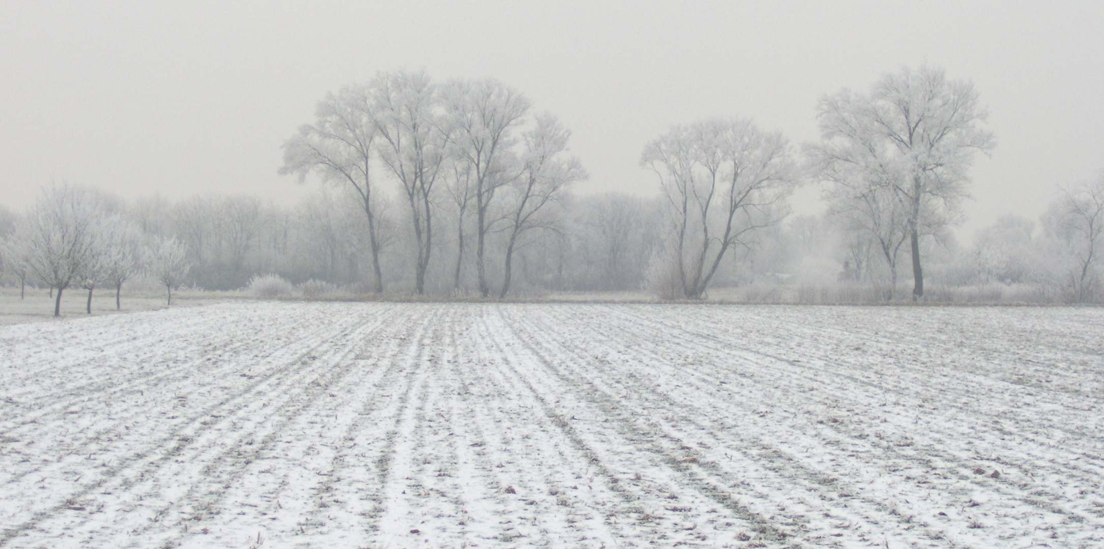 001_Schneelandschaft