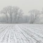 001_Schneelandschaft