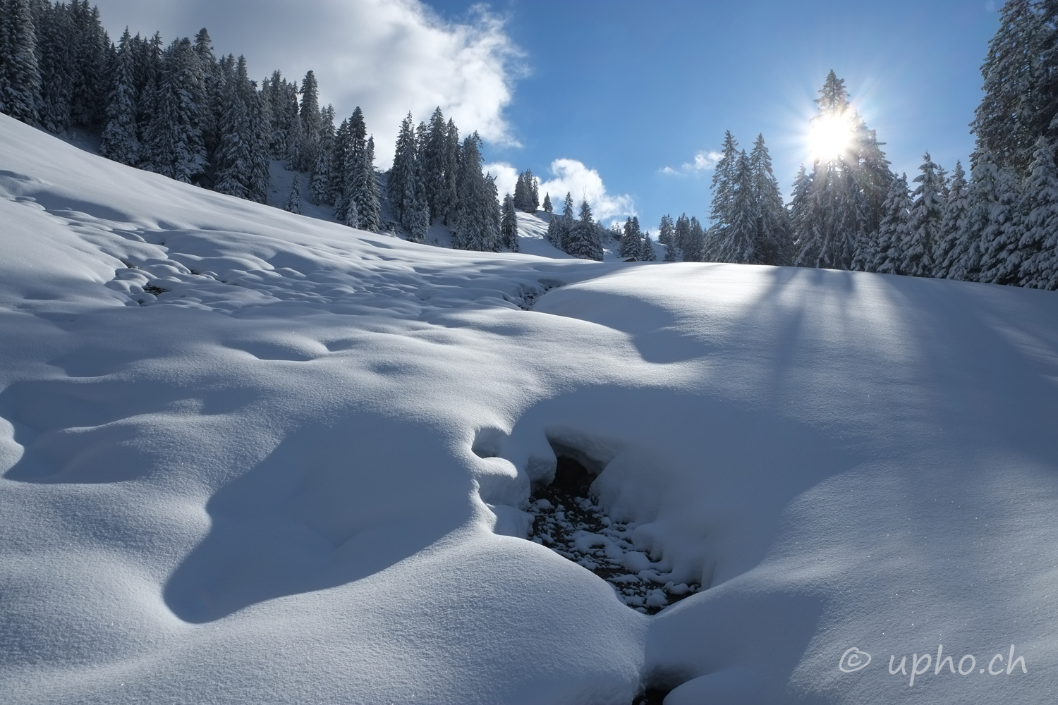 00228-2: Winter am Rinderberg