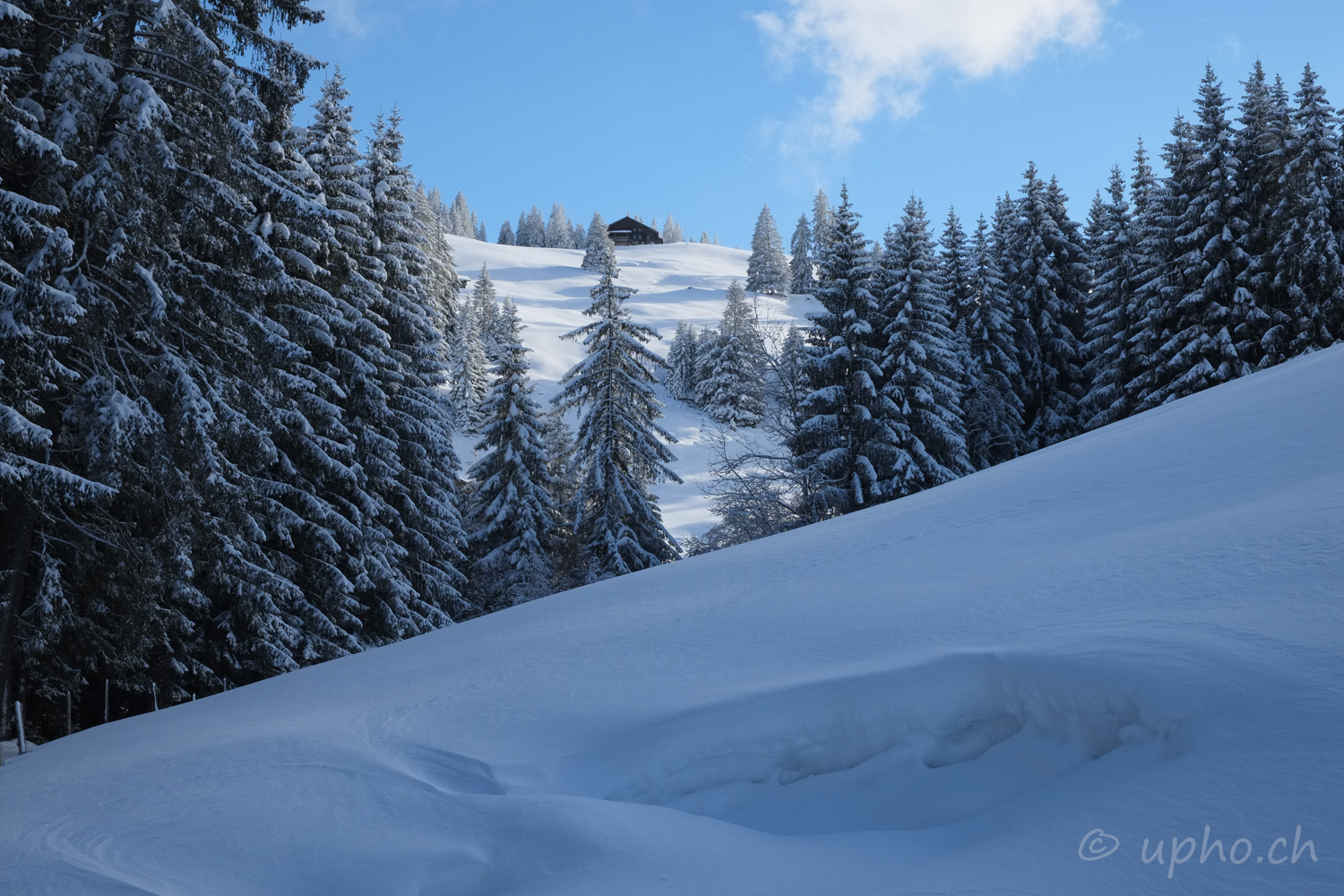 00234-2: Winterlandschaft am Rinderberg