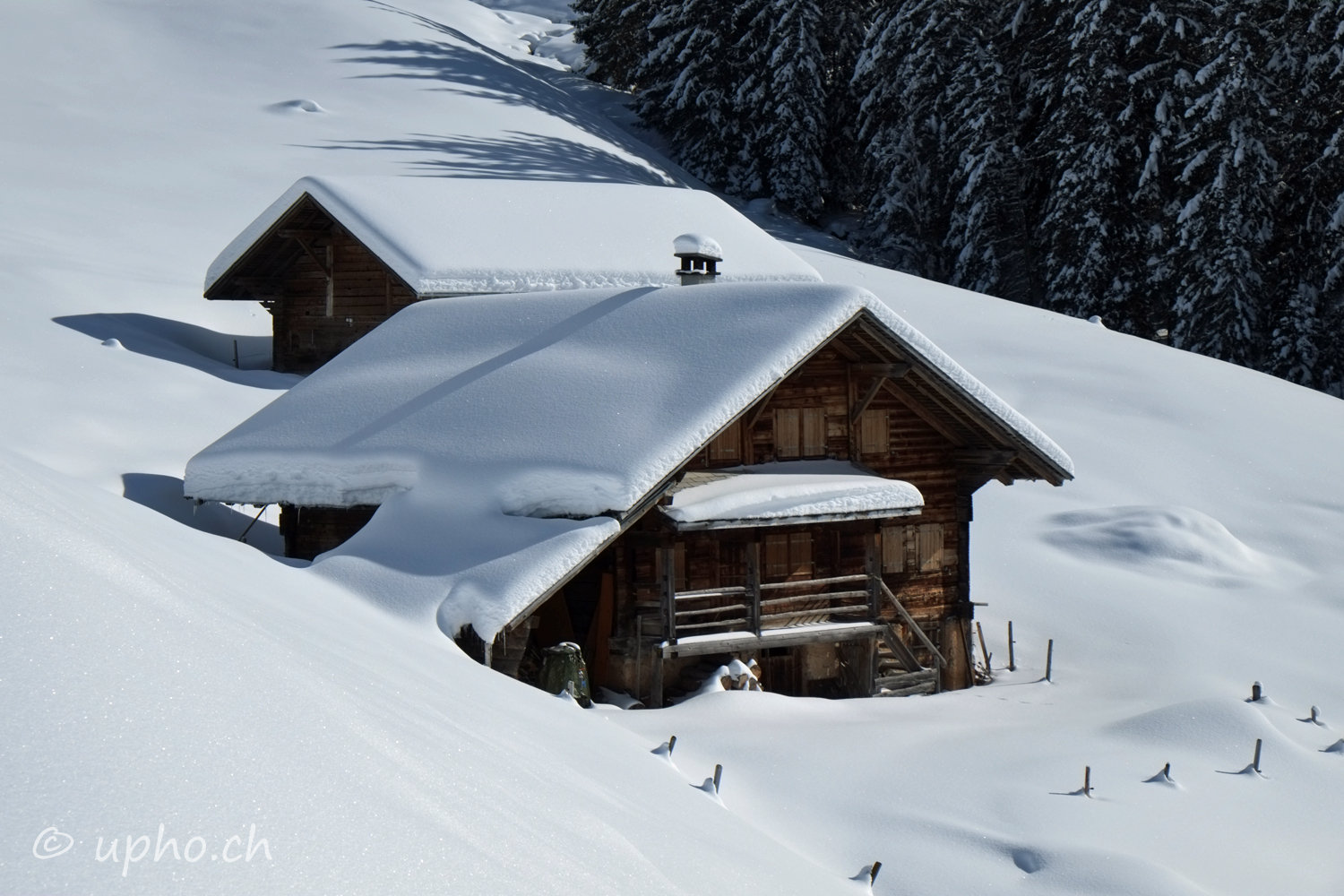 00241-2: Honegg, Zweisimmen