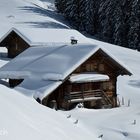 00241-2: Honegg, Zweisimmen