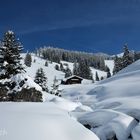 00243-2: Honegg, Zweisimmen