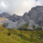 00264-2: Spillgerte, Alp Fromatt