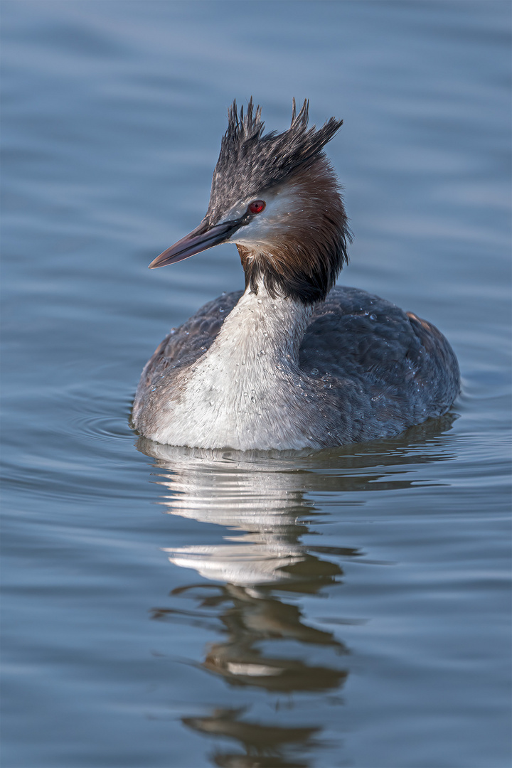 002_Steinhude / Steinhuder Meer