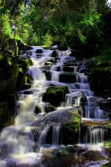 003 Sommer und Wasser