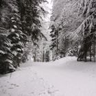 003 Winterlandschaft im Schwarzwald (Todtmoos)