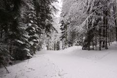 003 Winterlandschaft im Schwarzwald (Todtmoos)