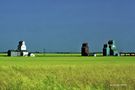 Grain Elevators von Luciano Bovina 