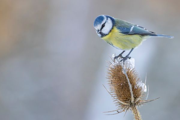 004-20241123 - Rechberghausen-Grundstück - _R7L1823-CR3