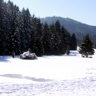 004 Winterlandschaften im Schwarzwald (Bernau)