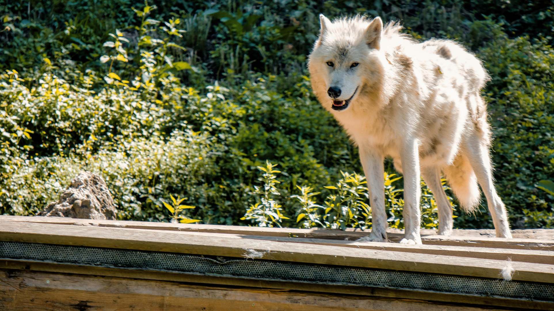 0042-Zoo Hellbrunn-14.06.2022