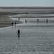 Auf Entdeckungstour im Wattenmeer bei Bsum