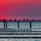 _0045_usedom_seebrücke-Sonnenuntergang_web