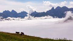 005-20220807 - Oberstdorf-Fiderepasshütte - IMG_1156