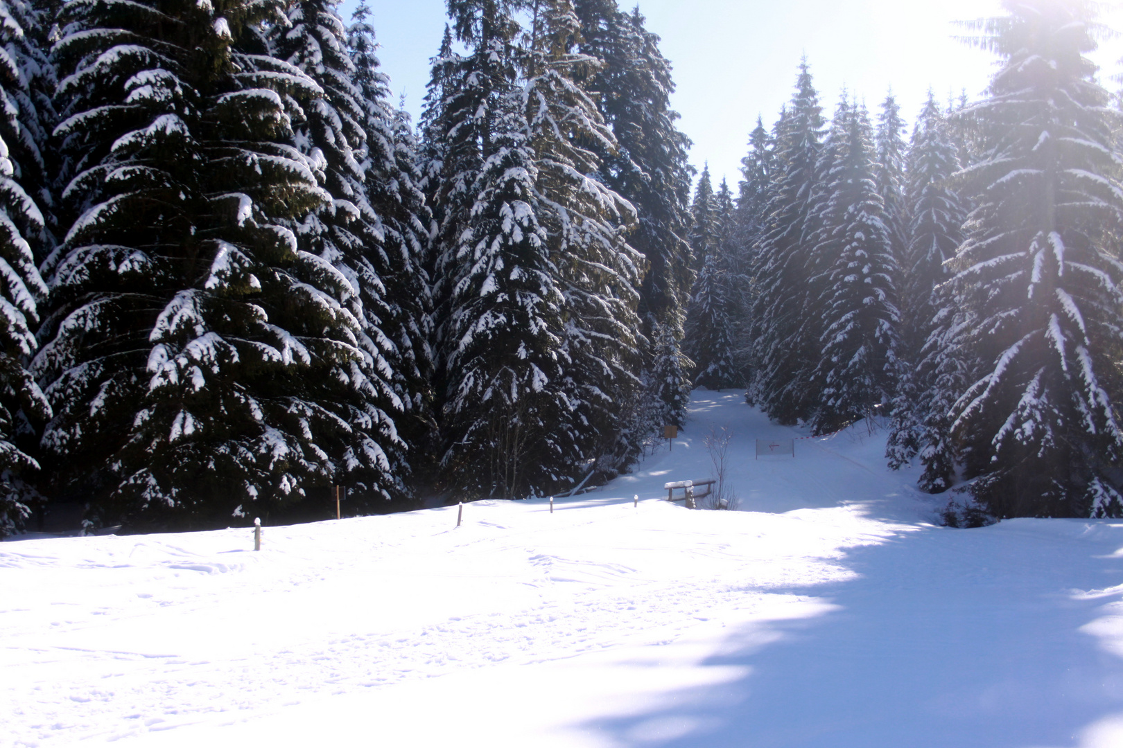 005 Winterlandschaften im Schwarzwald (Bernau)