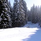 005 Winterlandschaften im Schwarzwald (Bernau)