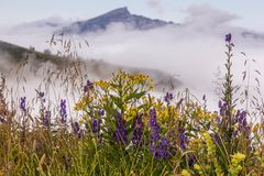 006-20220807 - Oberstdorf-Fiderepasshütte - IMG_1163