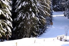 007 Winterlandschaften im Schwarzwald (Bernau)