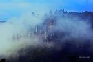 Reichsburg Cochem im Nebel. by Lucky Luxem 