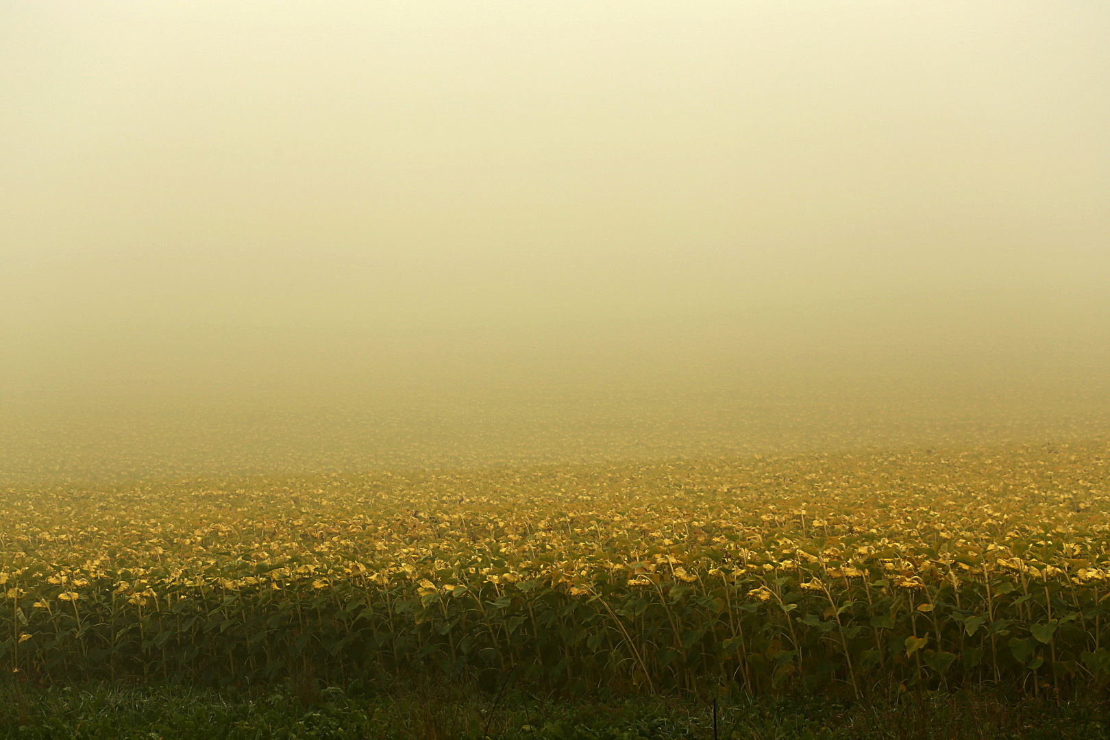 008 Herbststimmung