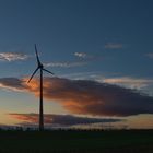 008 Landschaft am Abend bei Langeneichstädt