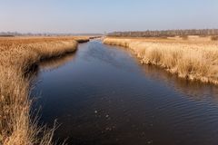 009 - 20170316 - Bad Buchau - Federsee - _MG_5030-2
